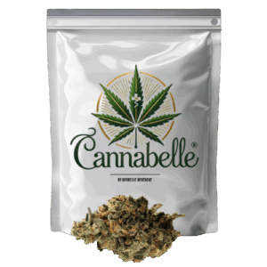 420 Evolution 27/1 CA FLM